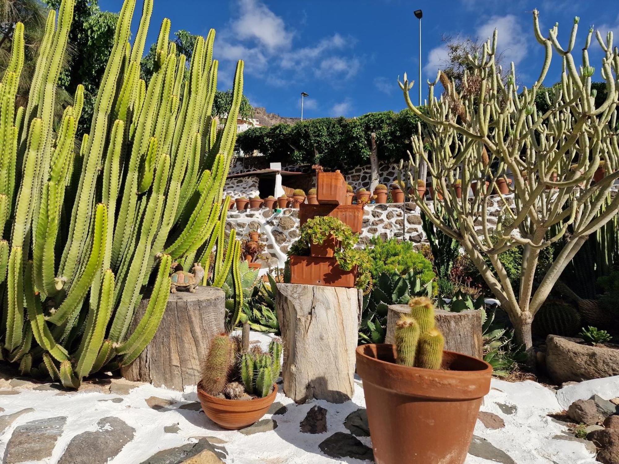 Historica Casa Con Vistas Al Jardin De Cactus Y Montanas Villa Mogán Eksteriør bilde