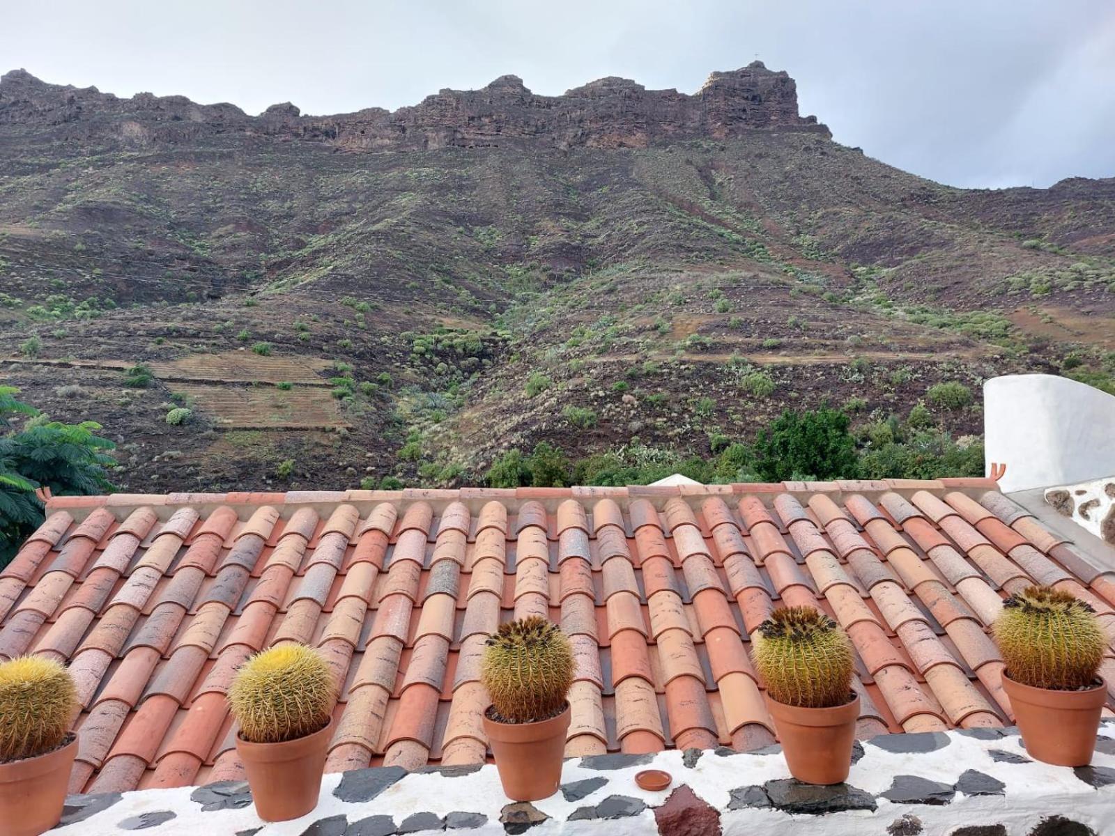 Historica Casa Con Vistas Al Jardin De Cactus Y Montanas Villa Mogán Eksteriør bilde